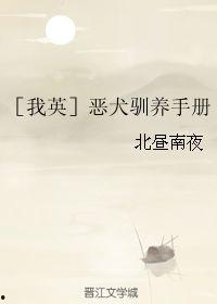 恶犬驯养指南,从失控到和谐共处的转变之路